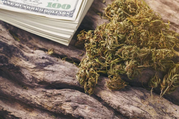 用美元钞票制成的干大麻医用大麻 — 图库照片