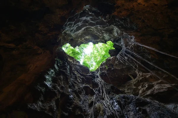 Mağara Deliğinden Bak Ağaca Gökyüzüne Bak — Stok fotoğraf