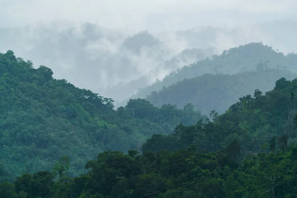 霧と霧に包まれた熱帯林の風景 — ストック写真