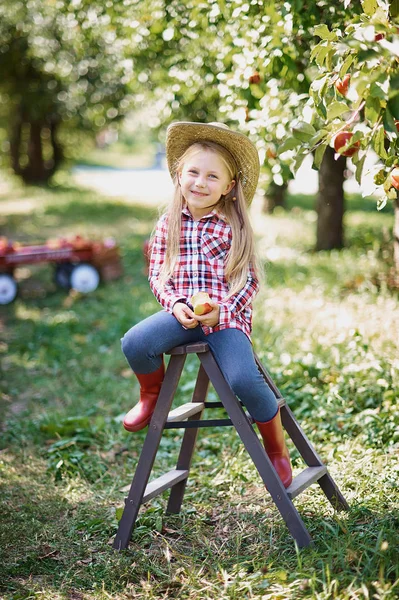 Girl Apple Apple Orchard Beautiful Girl Eating Organic Apple Orchard — Stock Photo, Image