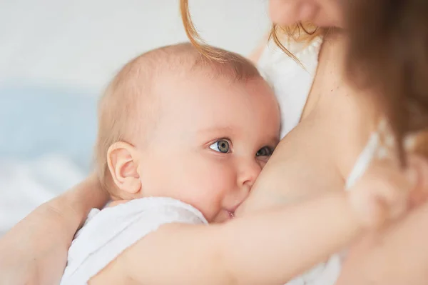Bebé Dez Meses Comer Leite Materno Mãe Amamentar Bebé Jovem Imagem De Stock
