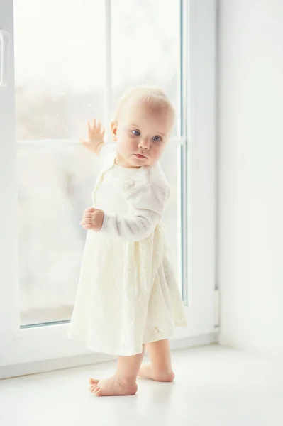Blond Krullend Peuter Babymeisje Door Een Venster Kijken Peuter Droomt — Stockfoto