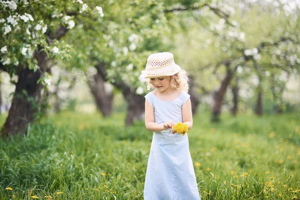 Fille Recueille Bouquet Pissenlits Pour Une Couronne Dans Pré Verger — Photo