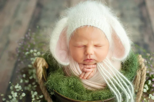 Nouveau Jours Dort Dans Panier Enfant Deux Semaines Début Vie — Photo