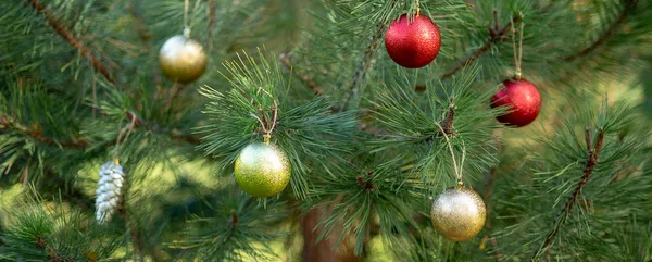 Ozdobione Choinki Parku Sosnowego Farm Drzewo Wesołych Świąt Bożego Narodzenia — Zdjęcie stockowe