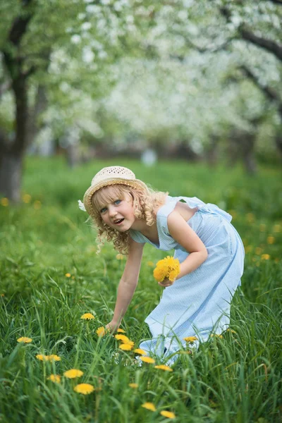 Uma Menina Cheirar Dente Leão Rapariga Cheirar Flores Pomar Maçã — Fotografia de Stock