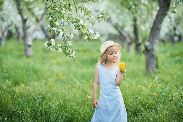 小女孩嗅到了蒲公英 女孩嗅花的苹果园 花园与开花的树木 快乐的童年 过敏季节 女孩收集蒲公英花束在果园的草地上的花圈 — 图库照片