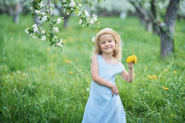 Маленькая Девочка Нюхает Одуванчики Девушка Нюхает Цветы Яблочного Сада Сад — стоковое фото
