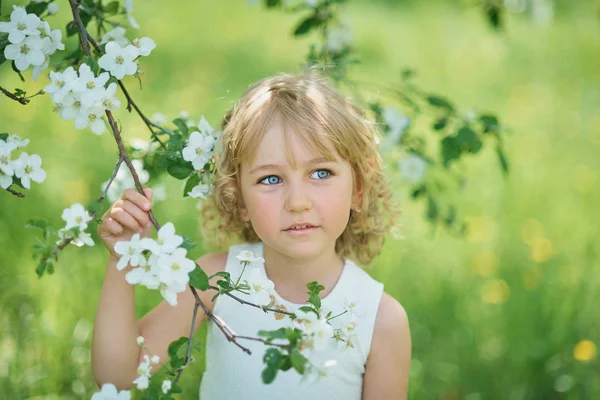 Cute Little Girl Sniffing Flowers Apple Orchard Garden Flowering Trees — Stock Photo, Image