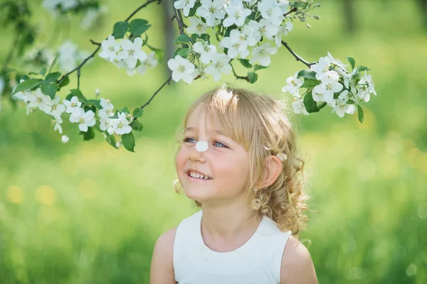 Cute Little Girl Sniffing Flowers Apple Orchard Garden Flowering Trees — Stock Photo, Image