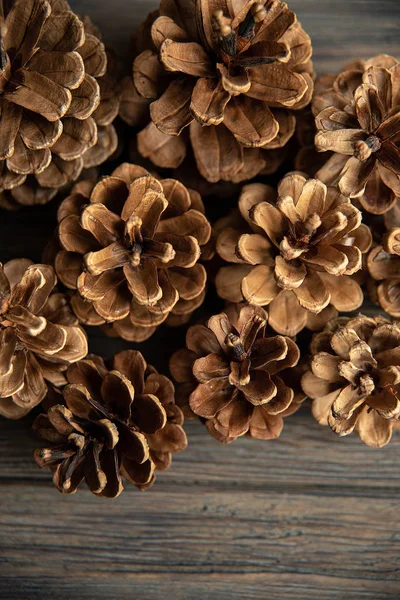 Coni Pino Sfondo Rustico Legno Scuro Natura Morta Con Luce — Foto Stock