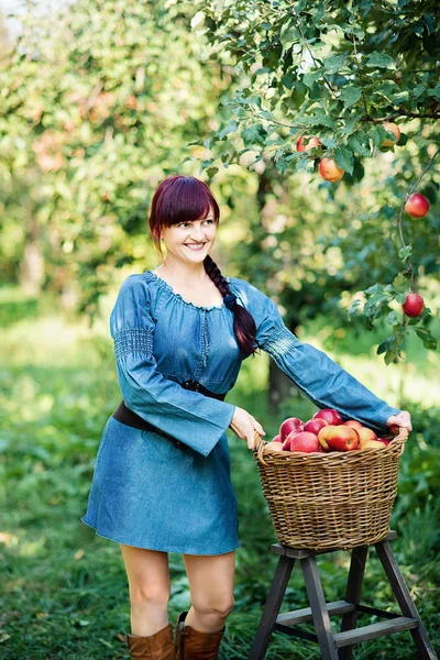 Schöne Frau Mit Korb Voller Äpfel Posiert Obstgarten Erntekonzept — Stockfoto