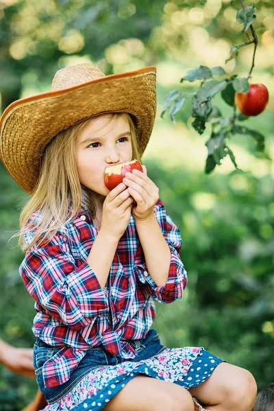 Chica Con Apple Apple Orchard Hermosa Chica Comiendo Manzana Orgánica — Foto de Stock