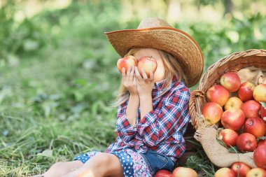 Elma elma bahçesi olan kız. Organik elma meyve bahçesinde yemek güzel kız. Hasat kavramı. Bahçe, yürümeye başlayan çocuk, yeme meyve hasat sonbahar. Elma malzeme çekme.