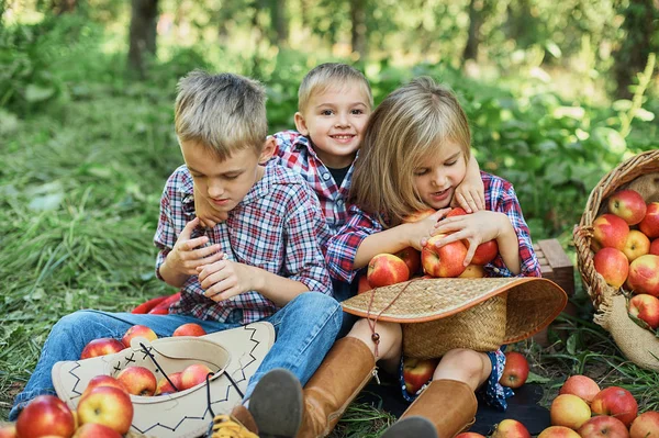 Дети Apple Apple Orchard Детское Питание Органического Яблока Саду Концепция — стоковое фото