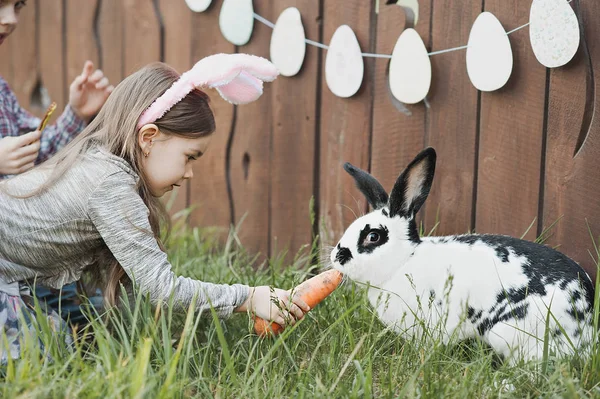 Children Play Real Rabbit Laughing Child Easter Egg Hunt White — Stock Photo, Image