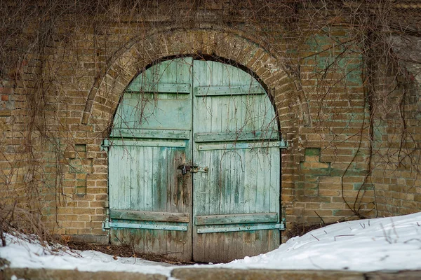 Διπλές Πόρτες Καλύπτονται Κισσό Εκλεκτής Ποιότητας Μπλε Αυλόπορτα Πόρτα Μια — Φωτογραφία Αρχείου