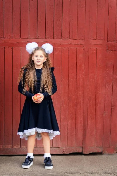 Portrait Happy School Girl Standing Red Apple Farewell Bell Day — Stock Photo, Image