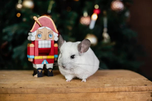 Boldog Kínai Patkány 2020 Háttérben Christmas Tree Fények Szimbólum Aranyos — Stock Fotó