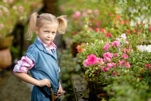 Toddler with flower basket. girl holding pink flowers Royalty Free Stock Photos