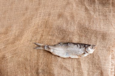 arka plan dalga üzerinde nehir balığı kurumuş. Üstten Görünüm