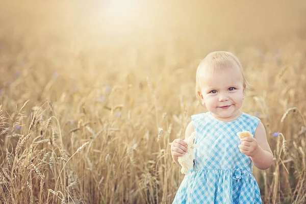 Niedliche glückliche kleine Mädchen im Weizenfeld an einem warmen Sommertag — Stockfoto