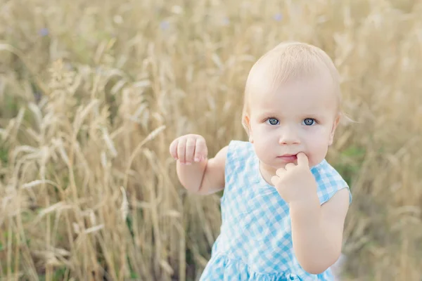 Niedliche glückliche kleine Mädchen im Weizenfeld an einem warmen Sommertag — Stockfoto