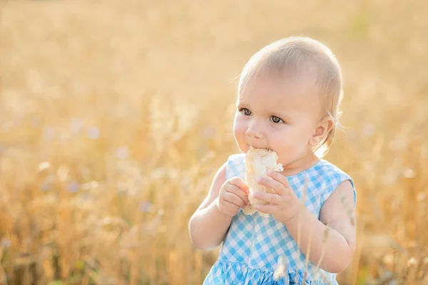 Schattig gelukkig klein meisje in een tarweveld op een warme zomerdag — Stockfoto