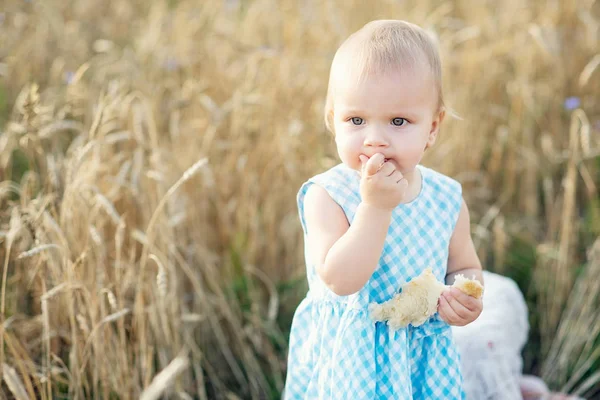 Schattig gelukkig klein meisje in een tarweveld op een warme zomerdag — Stockfoto