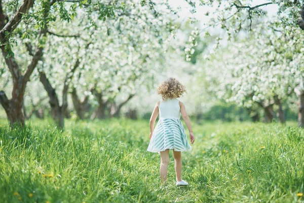 Meisje dat bloemen ruikt van appelboomgaard. tuin met bloeiende bomen — Stockfoto