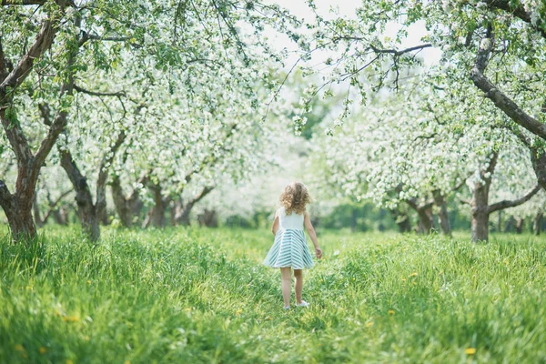 りんご園の花を嗅ぐ少女。開花木の庭 — ストック写真