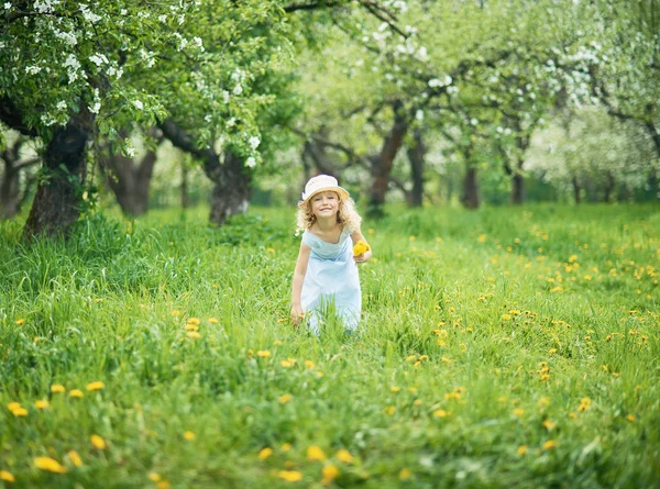 Girl collects dandelions bouquet for a wreath in meadow of orhard — Stock Photo, Image
