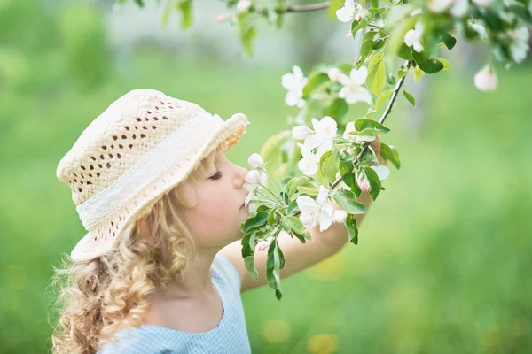 女孩闻苹果园的花。有开花树的园圃， — 图库照片