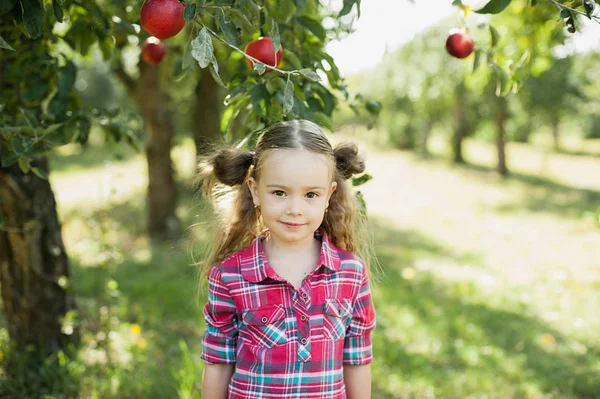 Chica con manzana en el huerto de manzana — Foto de Stock
