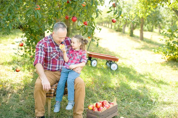 Mädchen mit Apfel im Apfelgarten — Stockfoto