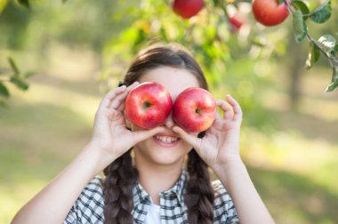 Elma elma bahçesi ile kız