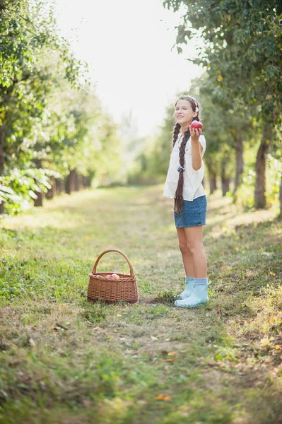 苹果园中的苹果女孩 — 图库照片
