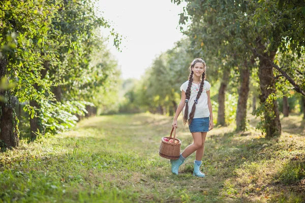 Girl with Apple in the Apple Orchard — Stok Foto