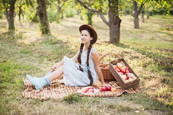 リンゴの果樹園でリンゴを持つ少女 — ストック写真