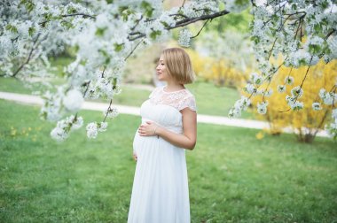 Bahar ruh hali, güzel hamile kadın koku çiçekli kiraz ağacı, doğa, beyaz çiçek Bahçe.