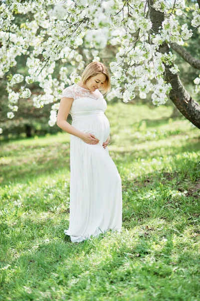 Tavaszi hangulat, szép terhes nő illata virágzás cseresznye fa, élvezve a természet, fehér virágos kert. — Stock Fotó