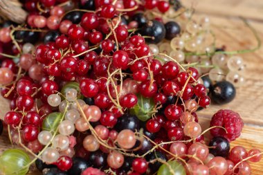 Vitamin. Yaz meyveleri. Kırmızı frenk üzümü arka planı. Yakın çekim, seçici odak. Hasat Konsepti.