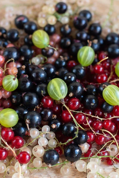 Vitaminen. Zomer bessen. Rode bessen achtergrond. Close-up, selectieve focus. Oogst concept. — Stockfoto