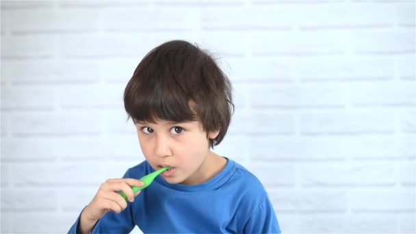 Little Boy Brushing His Teeth White Background Little Kid Cleans — Stock Video