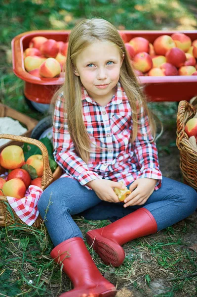 Chica con Apple en el Apple Orchard. Hermosa chica comiendo manzana orgánica en el huerto. Concepto de cosecha. Jardín, Niño comiendo frutas en la cosecha de otoño . — Foto de Stock