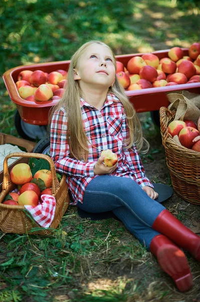 Chica con Apple en el Apple Orchard. Hermosa chica comiendo manzana orgánica en el huerto. Concepto de cosecha. Jardín, Niño comiendo frutas en la cosecha de otoño . — Foto de Stock