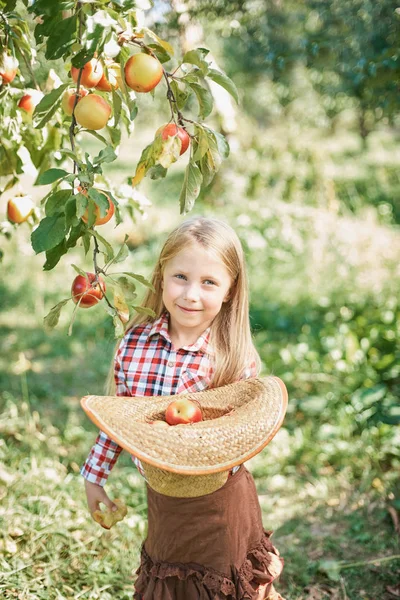 Girl with Apple in the Apple Orchard. Beautiful Girl Eating Organic Apple in the Orchard. Harvest Concept. Garden, Toddler eating fruits at fall harvest. — Stock Photo, Image