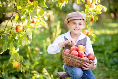 Apple Orchard'da Apple'lı çocuk. Güzel Kız Orchard Organik Elma Yeme. Hasat Konsepti. Bahçe, Bebek sonbahar hasat meyve yeme.