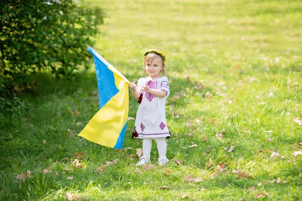 Çocuk, Ukrayna 'nın dalgalanan mavi ve sarı bayrağını tarlada taşıyor. Ukrayna 'nın Bağımsızlık Günü. Bayrak Günü. Anayasa günü. Geleneksel Ukrayna bayrağıyla nakışçı kız.