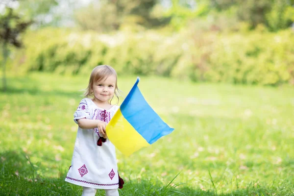 Çocuk, Ukrayna 'nın dalgalanan mavi ve sarı bayrağını tarlada taşıyor. Ukrayna 'nın Bağımsızlık Günü. Bayrak Günü. Anayasa günü. Geleneksel Ukrayna bayrağıyla nakışçı kız.